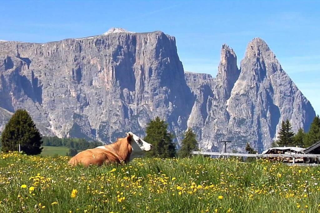 Fantastico Monolocale In Siusi Sciliar Apartamento Exterior foto